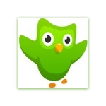 Duolingo - Old version for Android